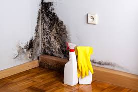 Best Industrial Mold Remediation  in Tahoma, CA